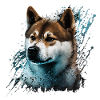 Akita Inu Dog