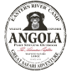 Angola - Chimpanzees