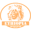 Ethiopia - Lion