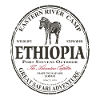 Ethiopia - Zebra
