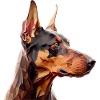 Le doberman