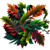 Leaves