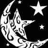 Moon Star Motif
