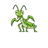 Kawaii praying mantis