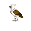 Kawaii Osprey