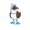 Kawaii Blue-footed