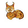 Kawaii Eurasian lynx