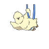 Aerial Silk Chicken