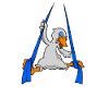 Aerial Silk Swan
