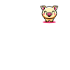 Sweet pig Kawaii domestic pig laughs