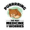 Meilleure médecine Purring Cat Positivité