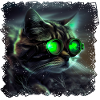Cats have natural night vision