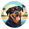 Rottweiler Hund am Strand