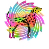Dalmatien Rétro