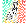 Dalmatien Rétro
