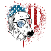 Dalmatians USA