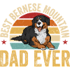 Bernese Mountain Dog