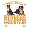 Bouvier bernois