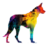 Schöner Hund - Bunter Hund