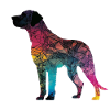 Bunte Hunde - Hunde Gruppe