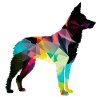 Schöner Hund - Bunter Hund