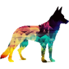 Schöner Hund - Bunter Hund