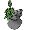 Stoned bust