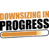 Downsizing In Progress 17