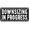 Downsizing In Progress 18