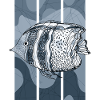 Fisch