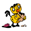 Broken chick
