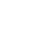 2023 Dash