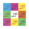 Squirrel Design