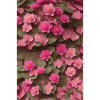 Flower Art