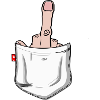 Stinkefinger pocket 1