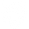 Esquisse du tigre blanc