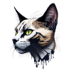 Splash Art Cat Design
