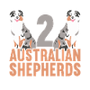 Australian Shepherd