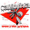 Santa Cruz California Surfing