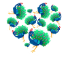 Herz Pfau