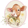 Lovely calf