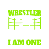 Wrestling wrestlers