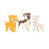 Dear dog owner paws