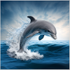 FOX0610 dolphin