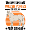 Welsh Pony Reiterin