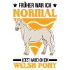 Welsh Pony Reiterin