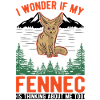 Fennec Gift Fennec Desert Fox