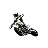 Supermoto