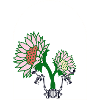 ÜBER DEM FENSTER BLUME