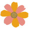 Flower orange pink